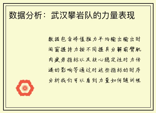 数据分析：武汉攀岩队的力量表现