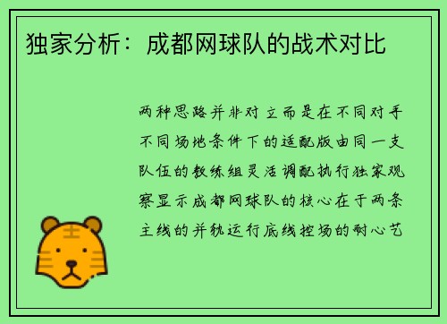 独家分析：成都网球队的战术对比