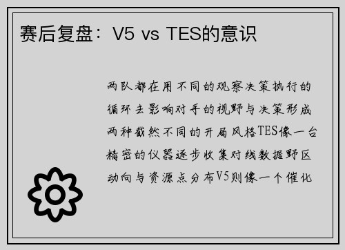 赛后复盘：V5 vs TES的意识